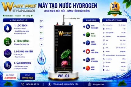 Máy tạo nước Hydrogen giàu ion kiềm sạch Model WS-01