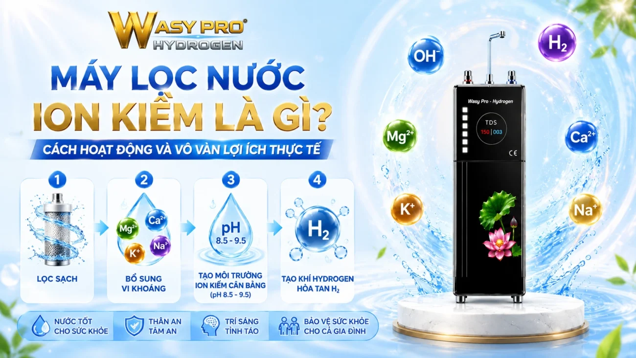 Máy Lọc Nước Ion Kiềm Là Gì Cách Hoạt Động Và Vô Vàn Lợi Ích Thực Tế dd
