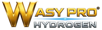 logo WASY PRO